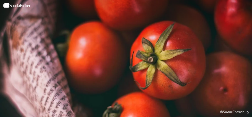 Intossicazioni alimentari